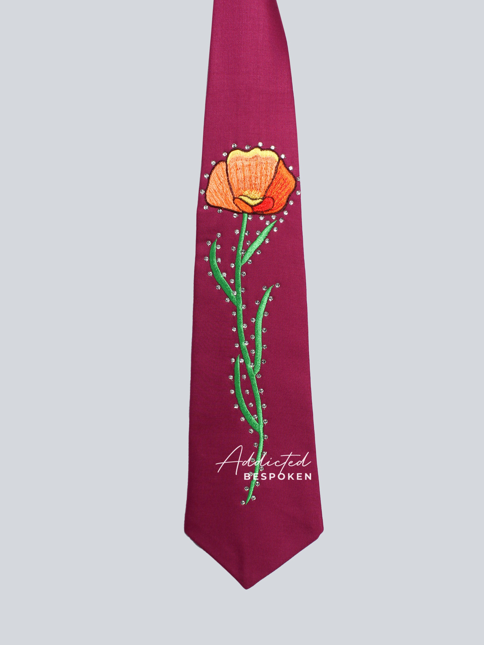 Veiled Elegance Sheer Western Charm Suit