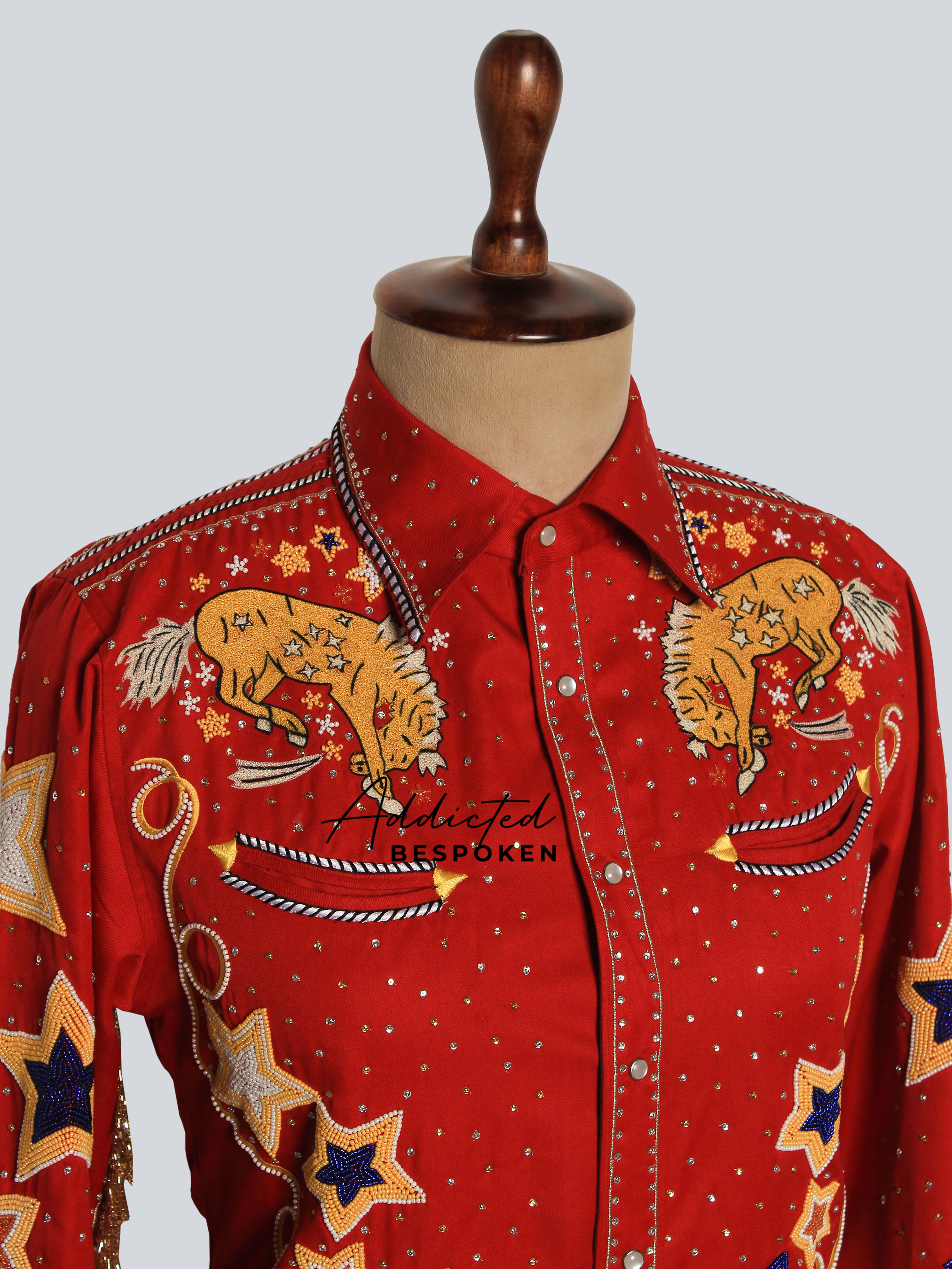 Starlit Rodeo Embroidered Western Shirt